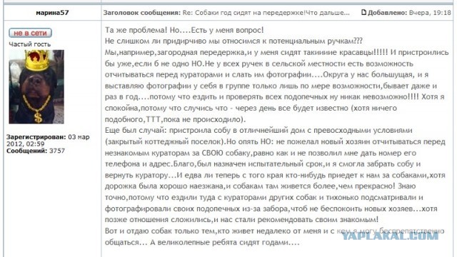 Живодёры Тулы. Нужна вся мощь ЯПа!
