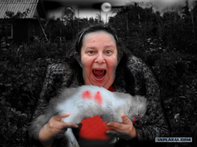 Фотожаба: Принцесса ФИОНА