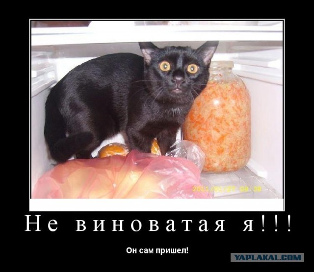 Люсе стыдно
