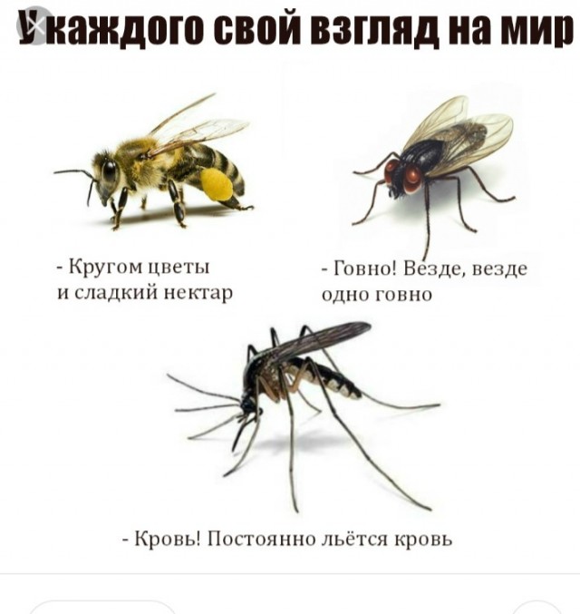 Реализм на грани сюрреализма. Картины Андрея Шатилова