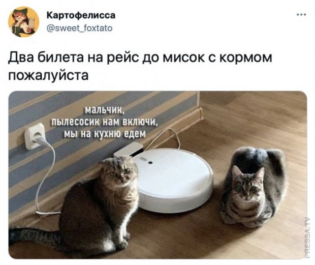Картинки и мемы для настроения