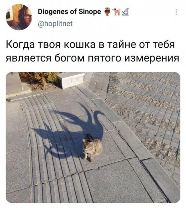Бредзона 05.04.21