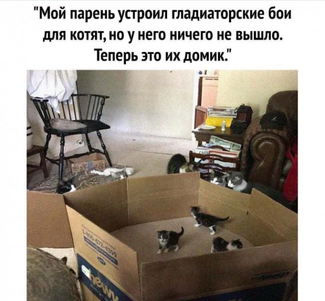 Картинки и мемы для настроения