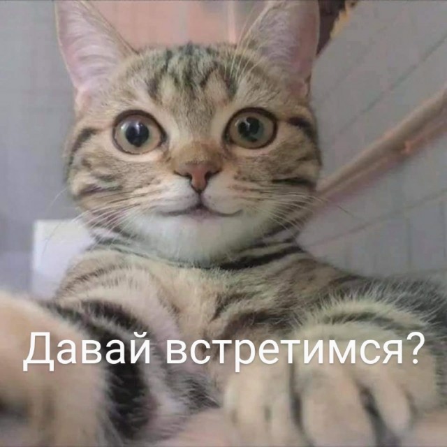Картинки и мемы для настроения