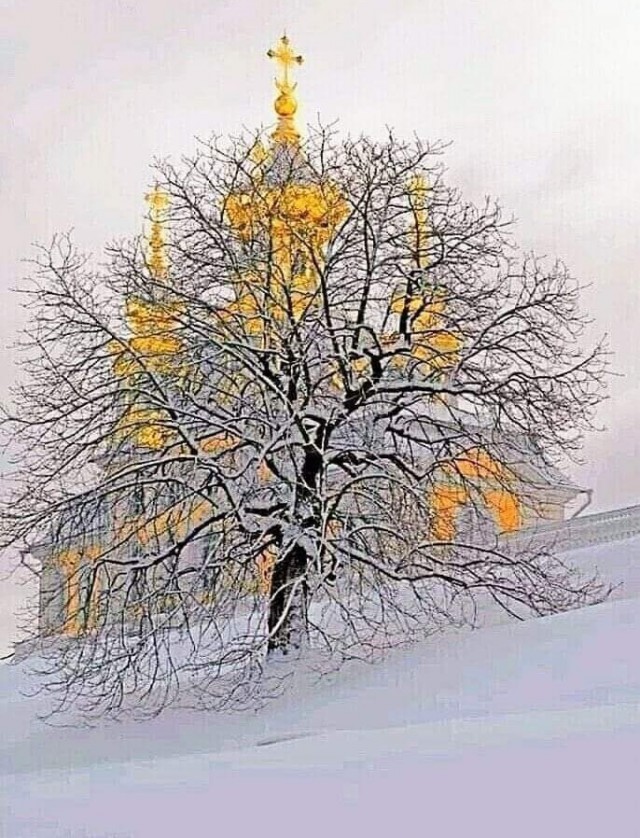 Картинки так себе 26.12
