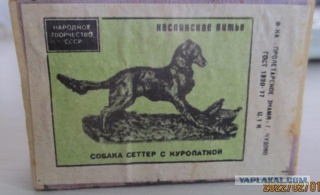Проверка возраста