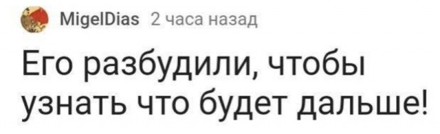 Вольфыч, просыпайся уже