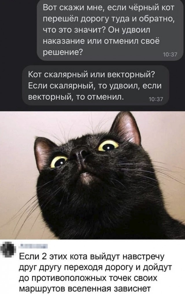 Так себе картинки 26.03.22