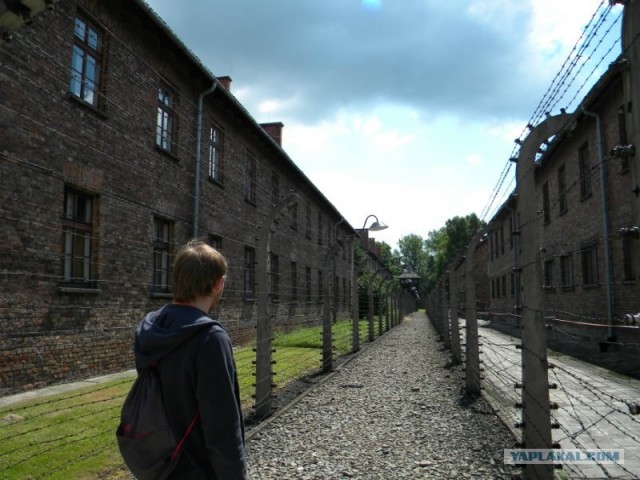 Мы и Тыгра. S.T.A.L.K.E.R.ы, через 12 стран