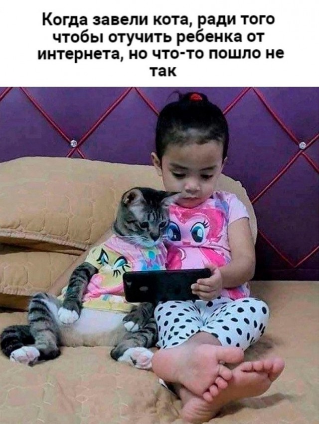 Так себе картинки 24.04.22