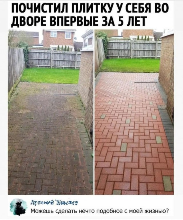 Картинки и мемы, выходные продолжаются