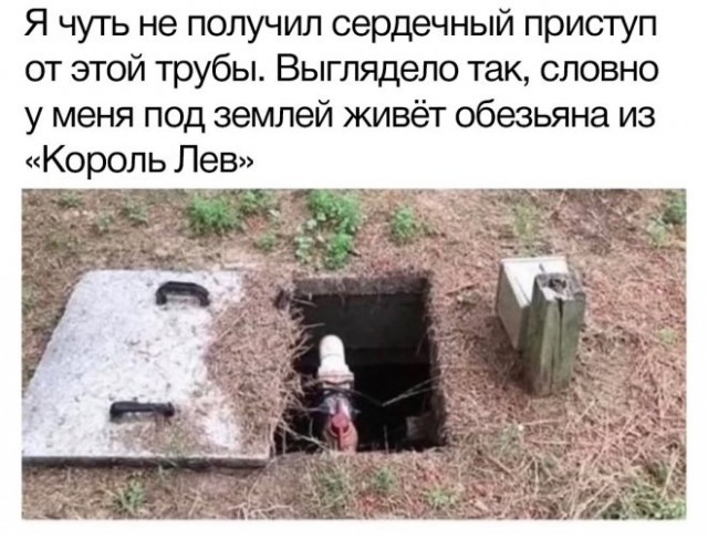 Картинки и мемы для настроения - 27