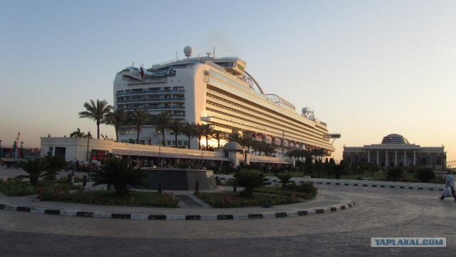 Любовь с первого взгляда