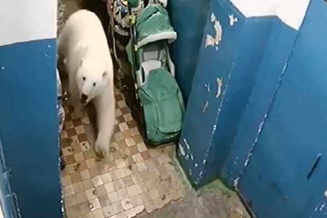 Картинки и мемы, всем хороших выходных