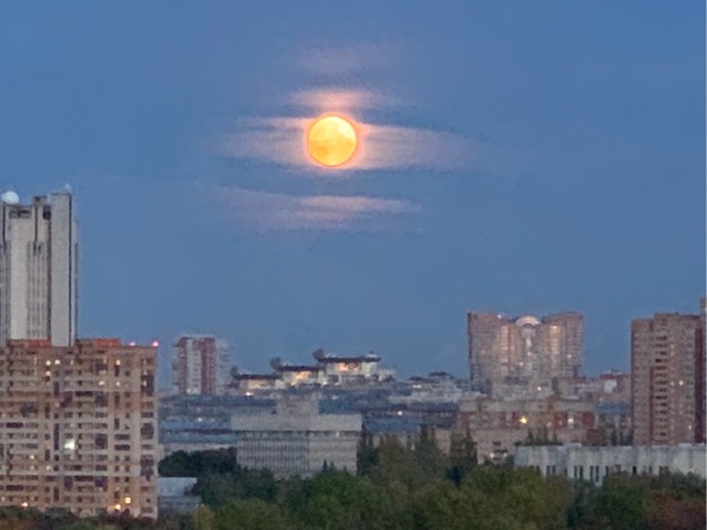 Поделимся красивыми фото с телефона?