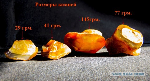 Агаты, халцедоны и сердолики Ноябрьска