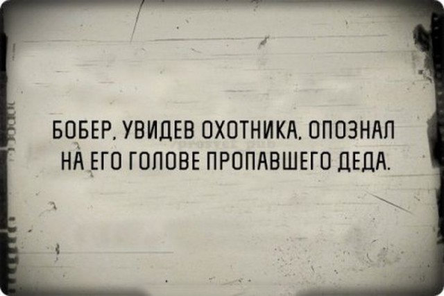 50 оттенков серого или самосвал баянов.  Vol.29
