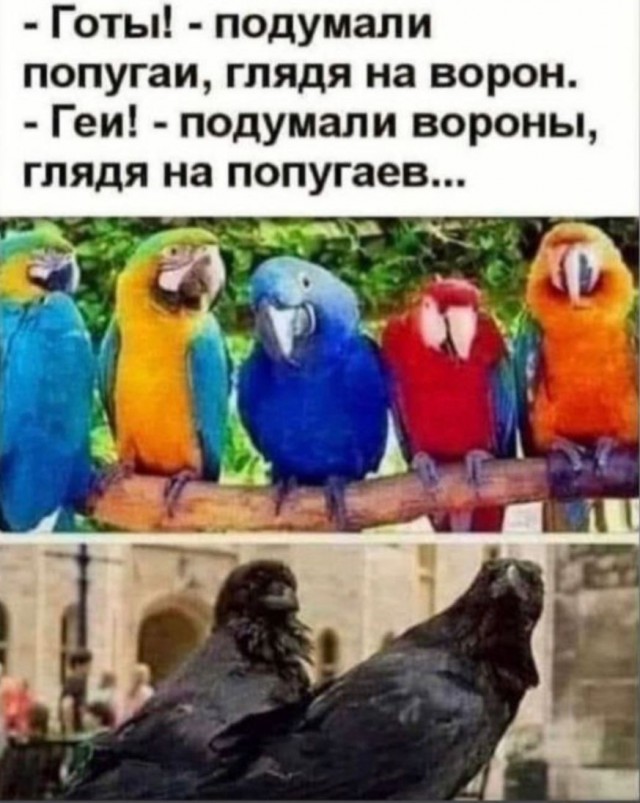 Юмор в картинках и без 27.11.2022