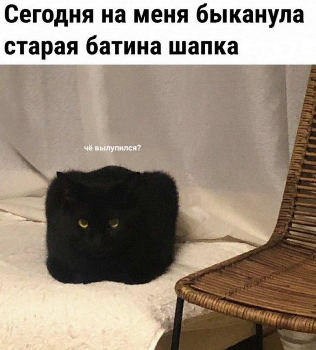 Картинки и мемы для настроения - 133