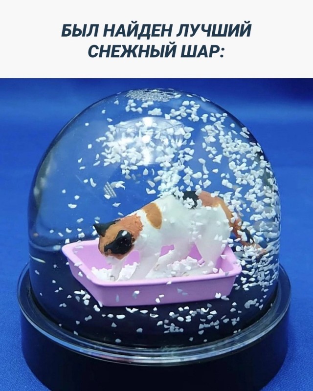 К Наде набежали женихи