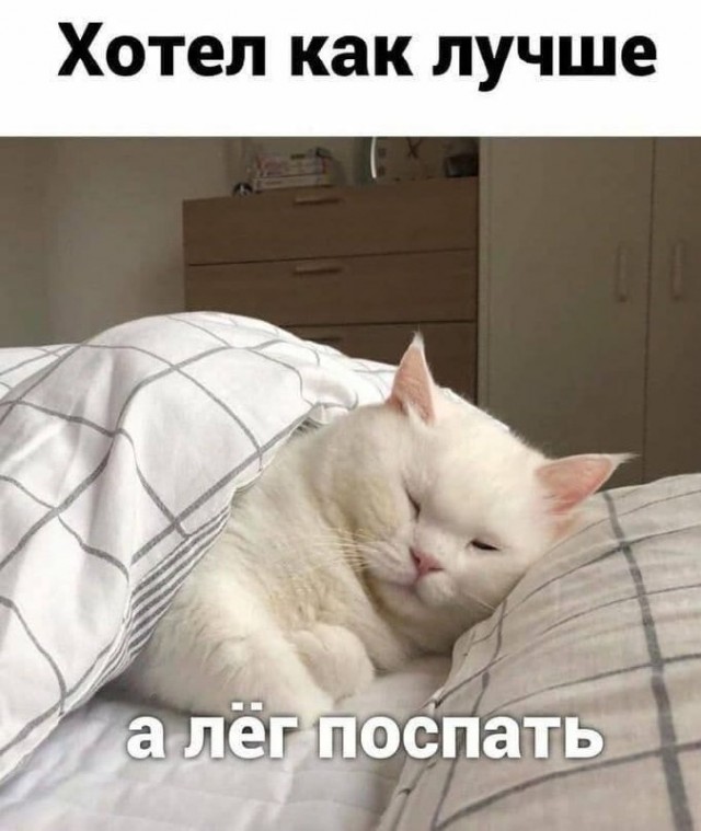 Картинки и мемы, всем хороших выходных