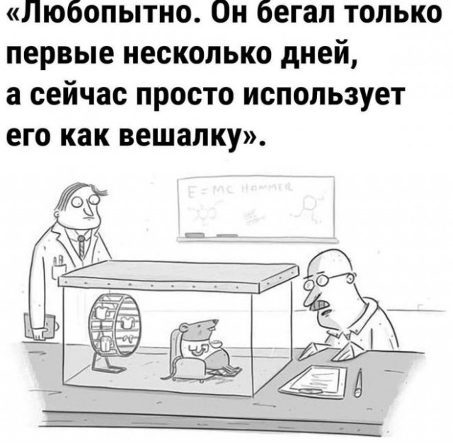 Немного картинок для настроения - 137