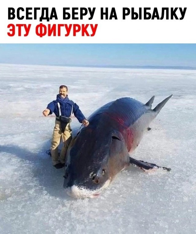 Весёлый полтишок 12.03.23