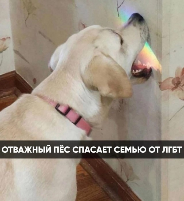 Немного картинок для настроения - 161