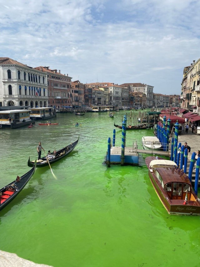 Вода в Гранд-канале в Венеции стала зелёной