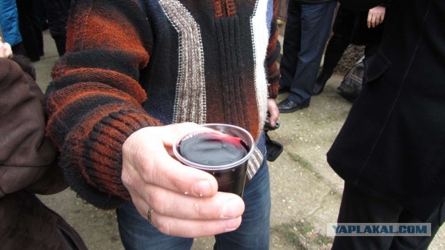 Крым в феврале или "Не стреляйте в белых лебедей!"