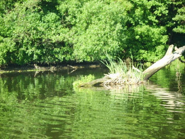 Сплав. Южный Буг.