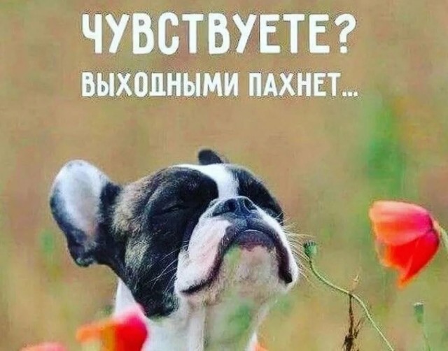 Всего понемногу. От 19.01.24