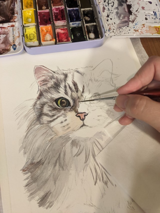 Акварели показываю.Рисунок кота Дарси