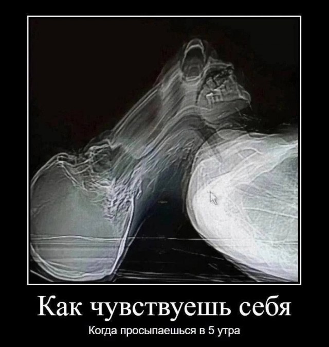 Так себе картинки 12.05.24