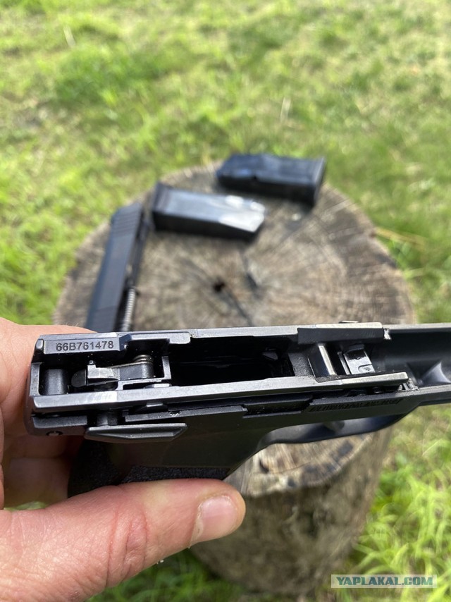 Sig Sauer P365