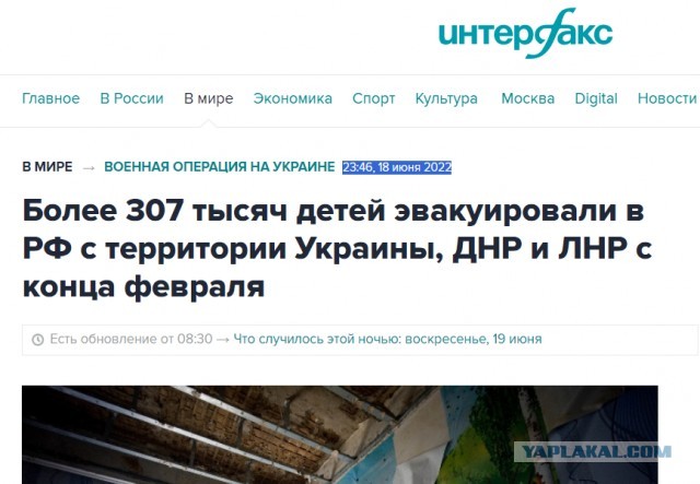 В Донецке зумер с розовыми волосами залил перцовкой ветерана СВО, который хотел занять в очередь к врачу