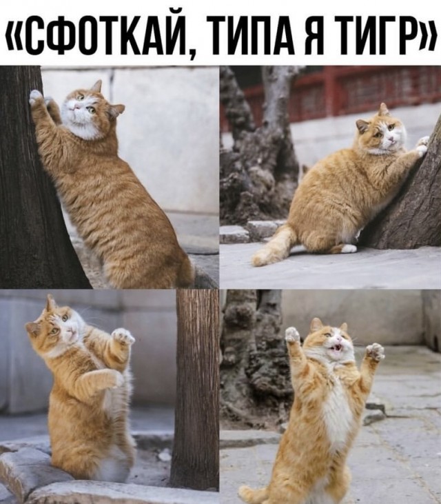 Завалялось тут случайно немного забавных картинок