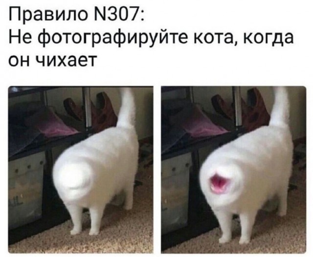 Отряд быстрого деградирования