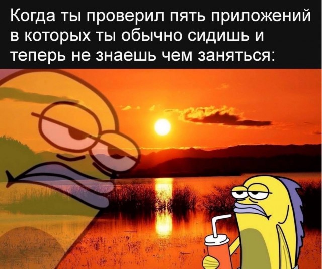 Немного забавных картинок от 22.08.2024