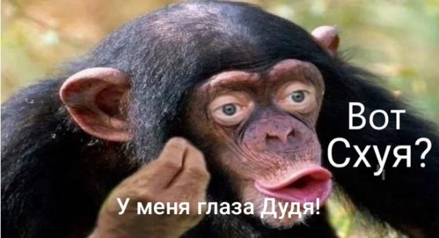 Нуштош 02.09.2024