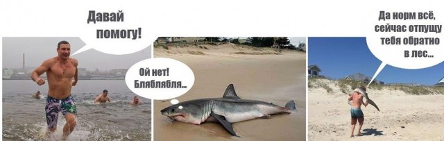 Я с похмелья
