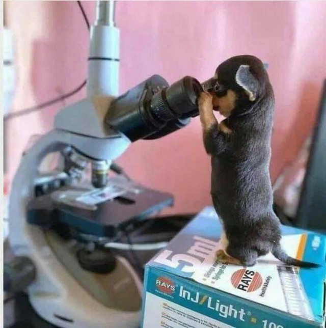 ФотоВинегрет