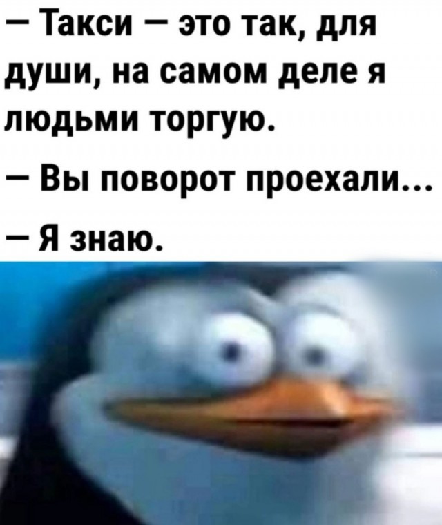 Веселые картинки в пятницу (06.12)
