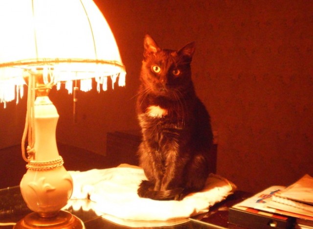 Мистики псто.