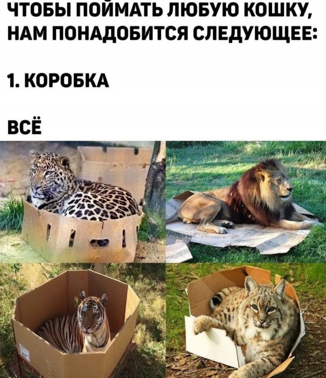 Завалялось тут случайно немного забавных картинок