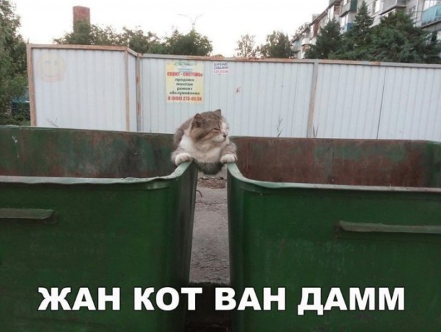 Веселые картинки в пятницу (04.04)