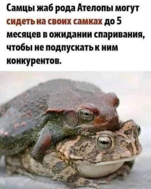 Маленькая пятница 9.04.25