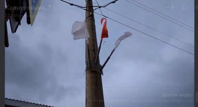 Десятки китайцев собрались возле ГУМа в Москве с флагами и что-то кричат