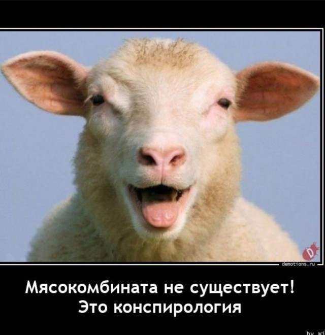 План правящих элит.