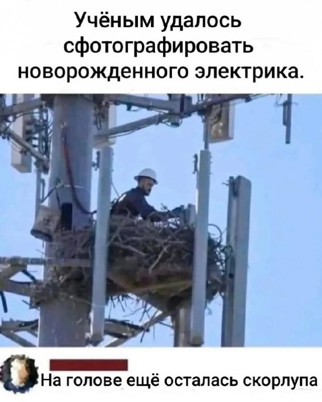 Картинки для деградации -2 (разной степени свежести)